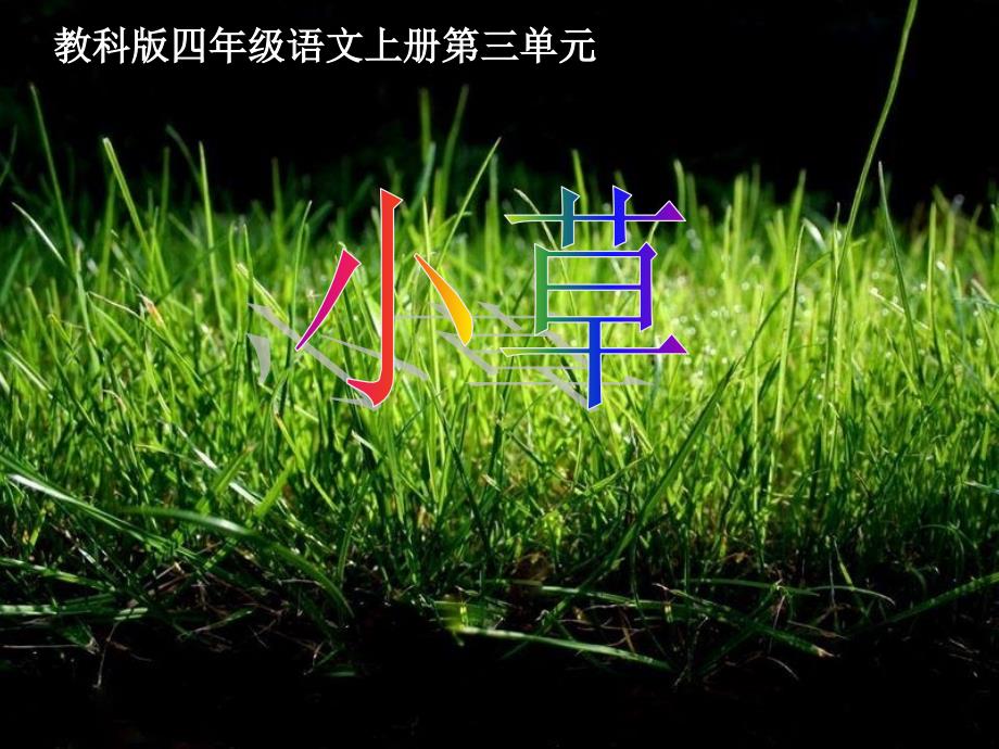 教科版四年级语文上册小草_第1页