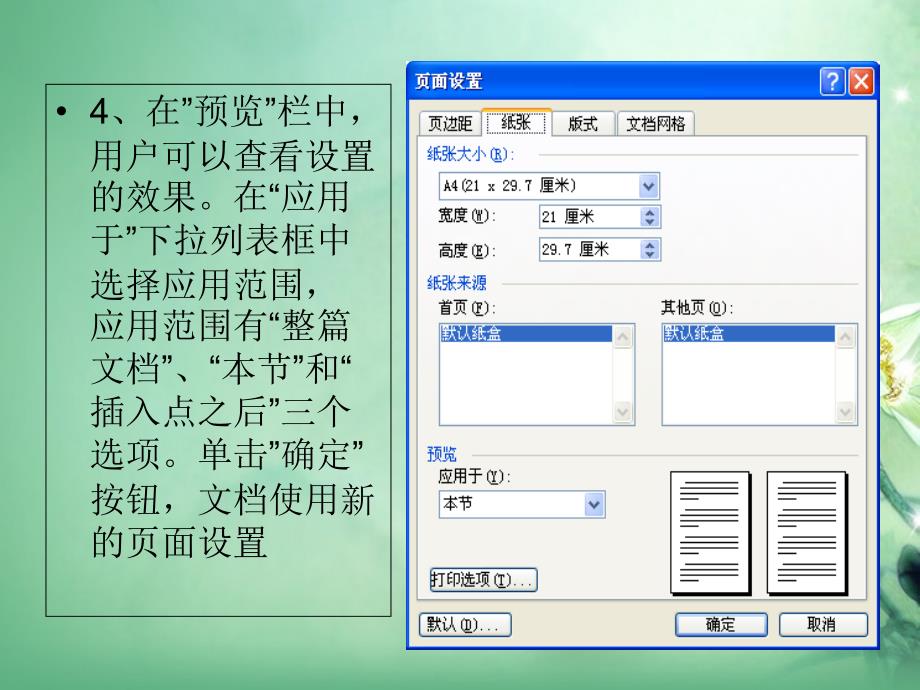 江苏省泗阳县卢集初级中学初中信息技术《第九节 页面设置》课件 新人教版_第4页