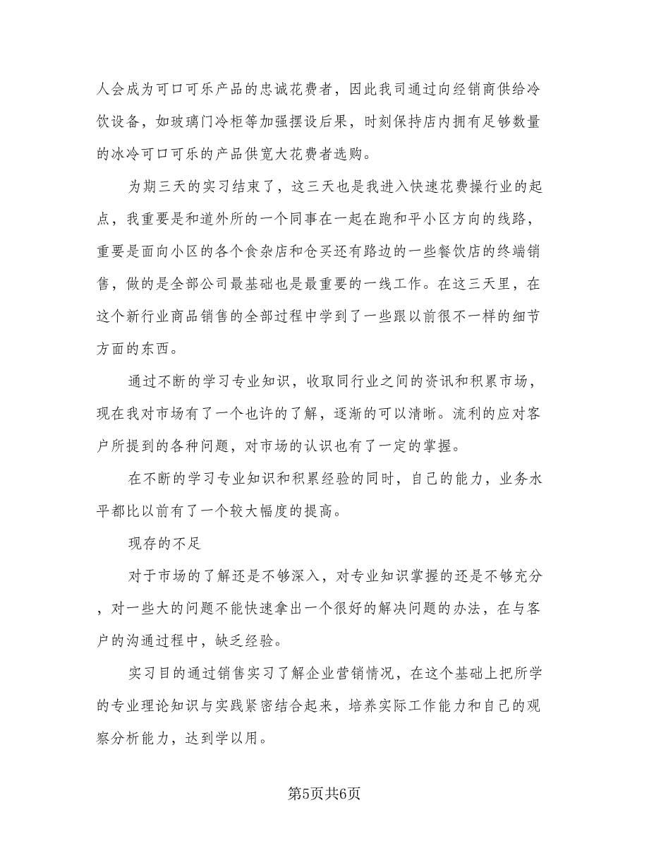 销售个人实习报告工作总结模板（二篇）.doc_第5页