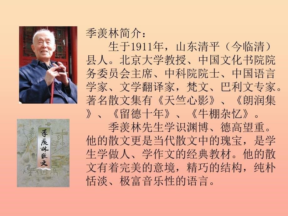 六年级语文上册 神奇的丝瓜课件3 湘教版.ppt_第5页