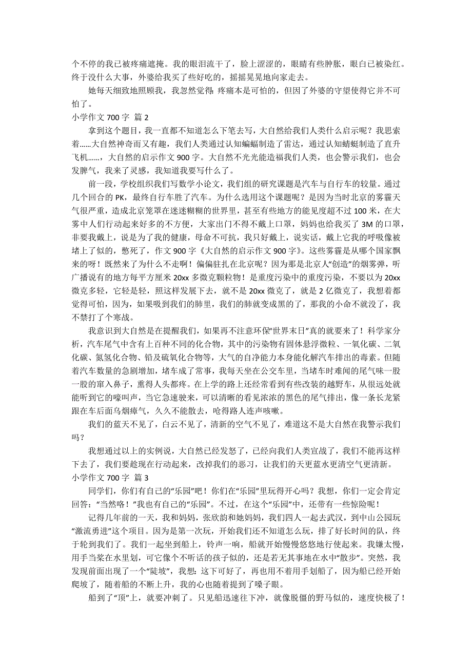 精选小学作文700字集锦8篇_第2页