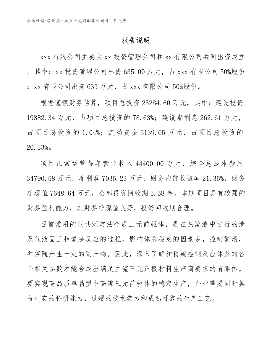 温州关于成立三元前驱体公司可行性报告_范文_第2页