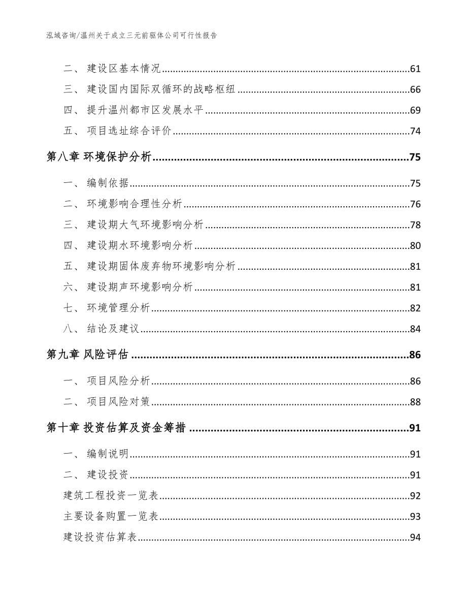 温州关于成立三元前驱体公司可行性报告_范文_第5页
