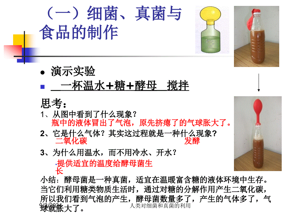 第五节人类对细菌和真菌的利用.ppt_第4页