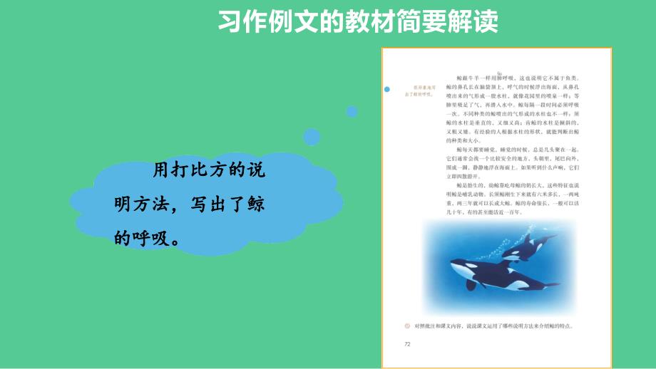 五年级上册语文ppt课件第五单元《习作例文&amp;amp#183;习作：介绍一种事物》教学建议部编版_第4页