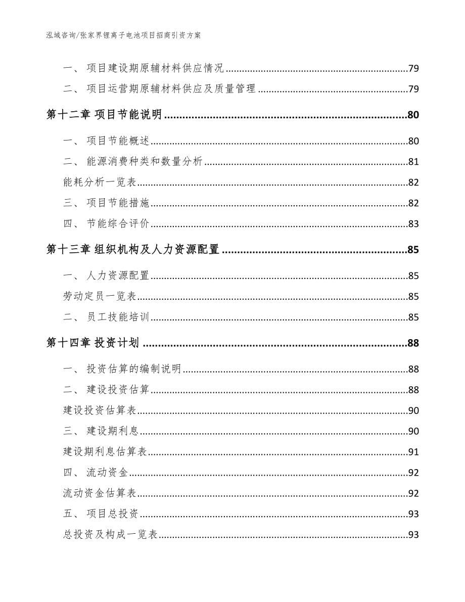 张家界锂离子电池项目招商引资方案范文_第5页