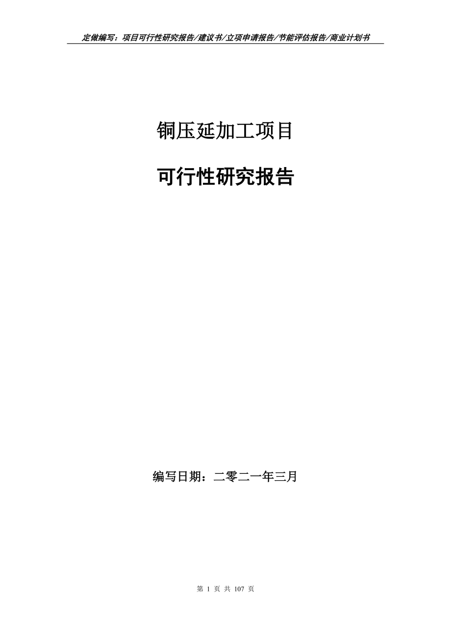 铜压延加工项目可行性研究报告写作范本_第1页