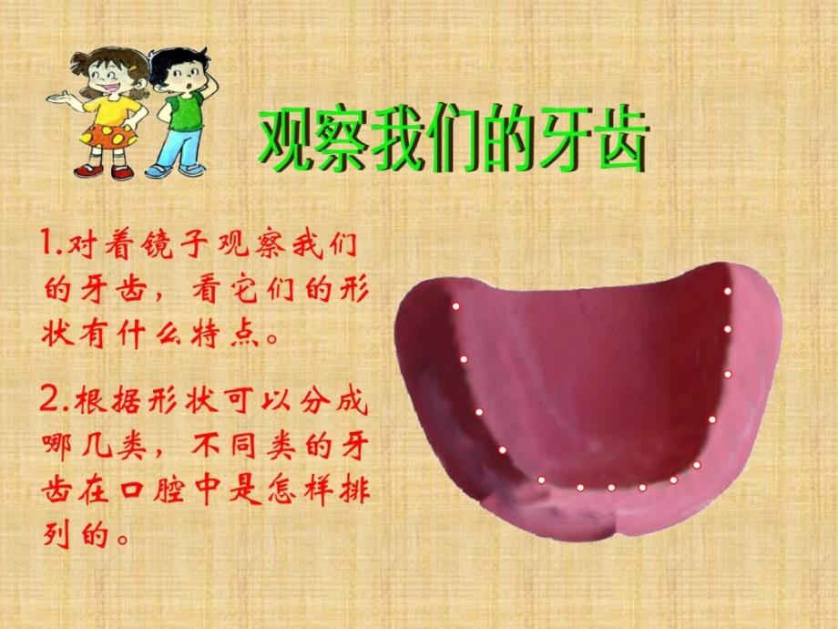 《食物在口腔里的变更》.ppt_第3页