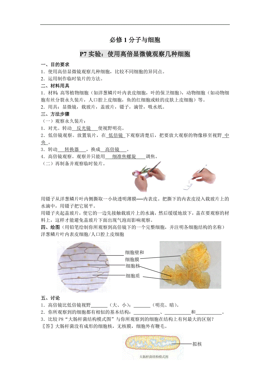 考试说明要求的高中生物17个实验.doc_第1页