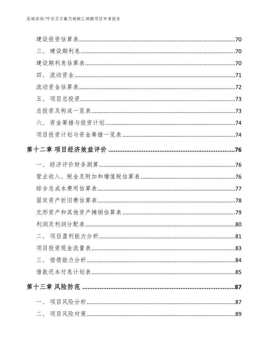 呼伦贝尔氟代碳酸乙烯酯项目申请报告_模板_第5页