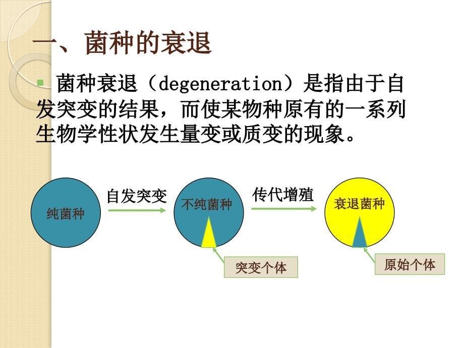 全国生物学竞赛：第八章菌种的保藏辅导课件(8)_第5页