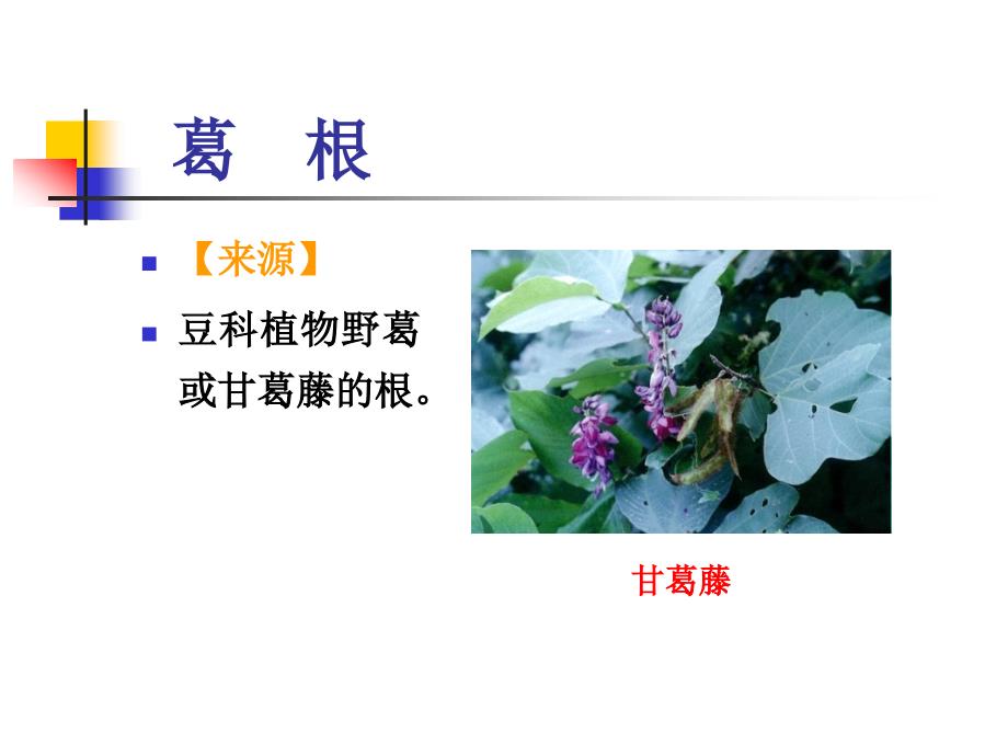 根及根茎类中药4_第1页