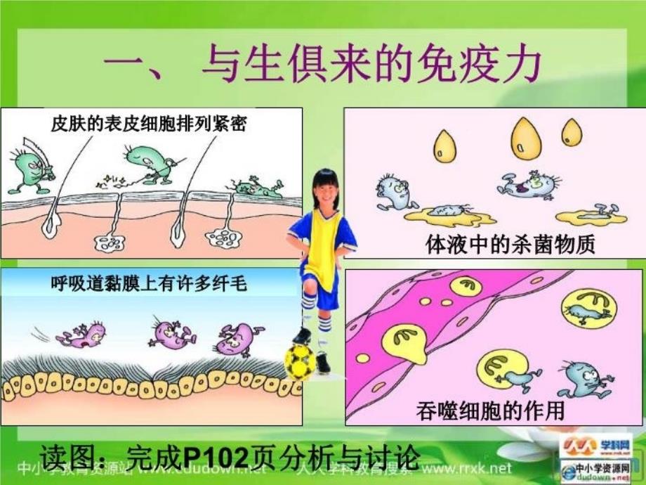 人体的免疫功能课件_第3页