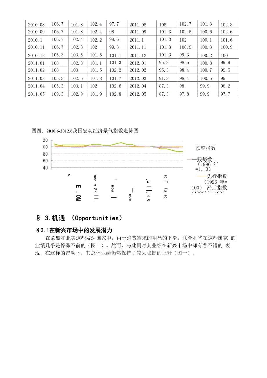 联合利华的现状与未来发展的思考_第5页