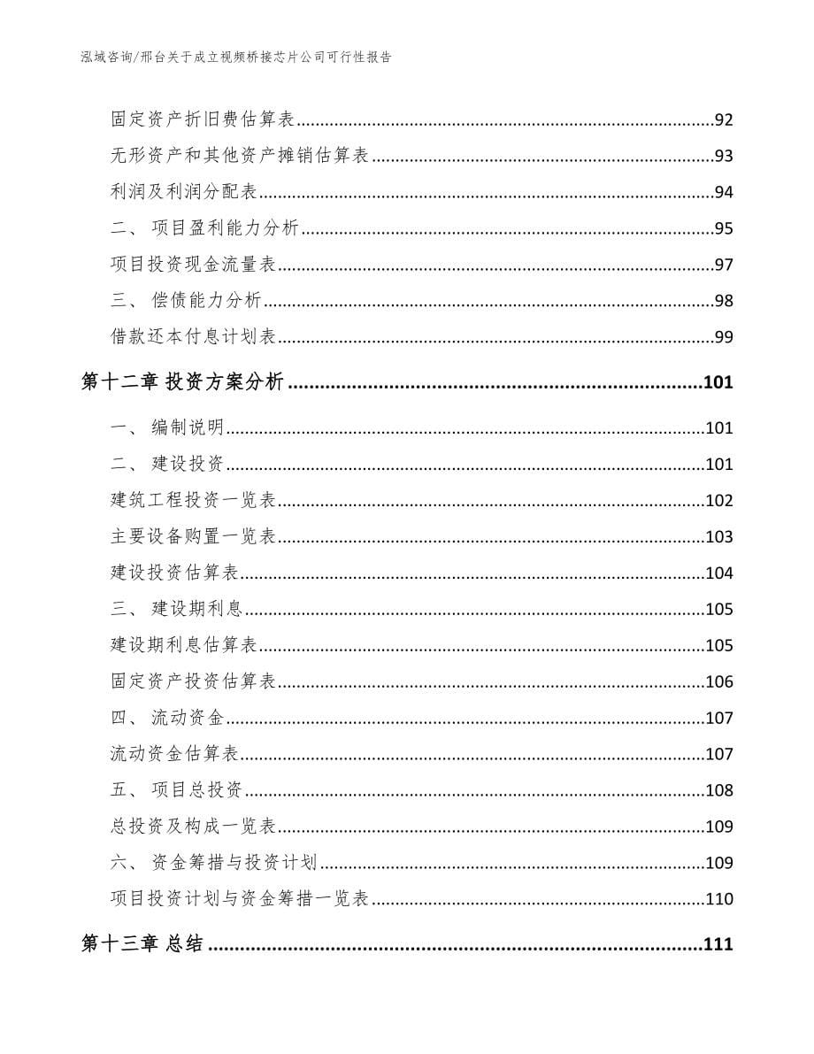 邢台关于成立视频桥接芯片公司可行性报告（范文模板）_第5页