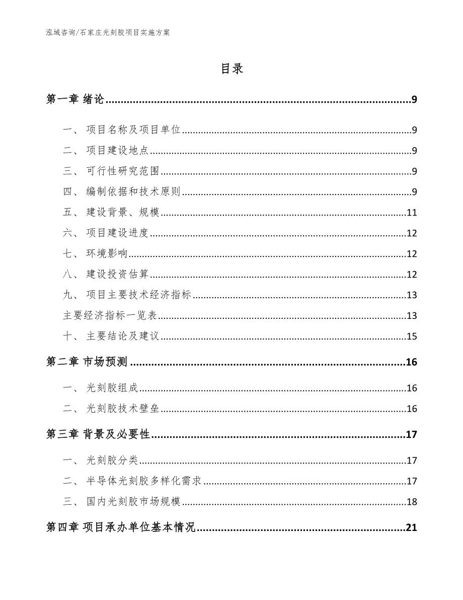 石家庄光刻胶项目实施方案（参考范文）_第2页