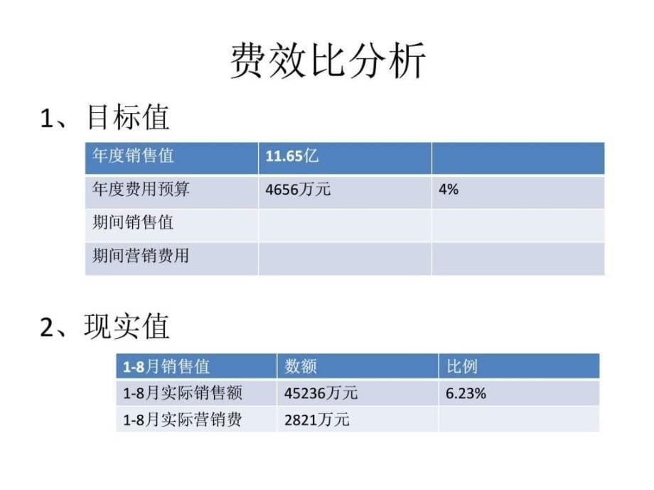 金棕榈项目营销费效分析图文.ppt_第5页