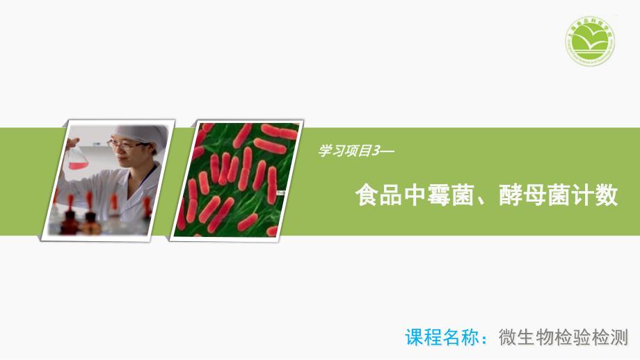 食品中霉菌、酵母菌计数PPT课件_第1页