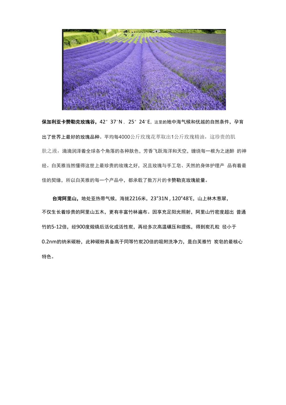 白芙雅手工皂_第4页