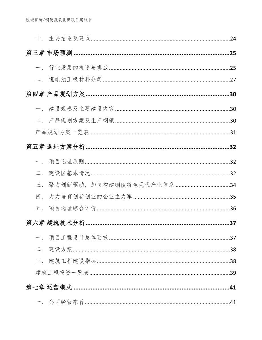 铜陵氢氧化镍项目建议书【模板范文】_第4页