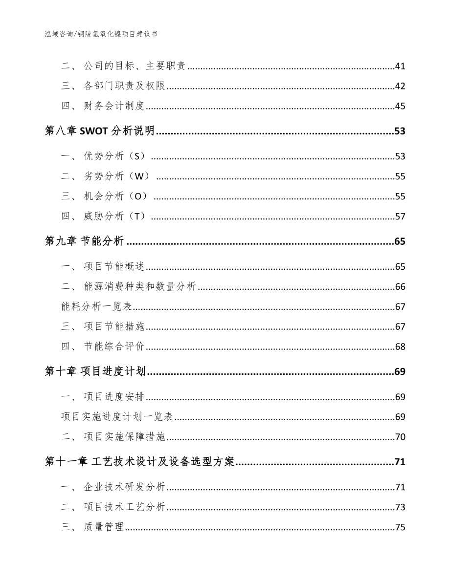 铜陵氢氧化镍项目建议书【模板范文】_第5页