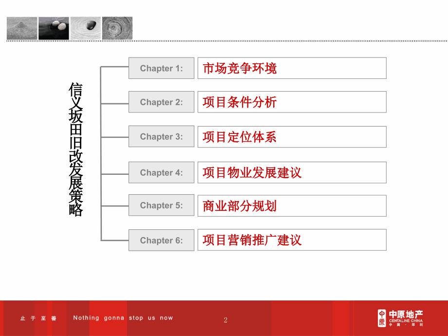 深圳信义坂田第一工业区旧改项目发展战略报告133p_第2页