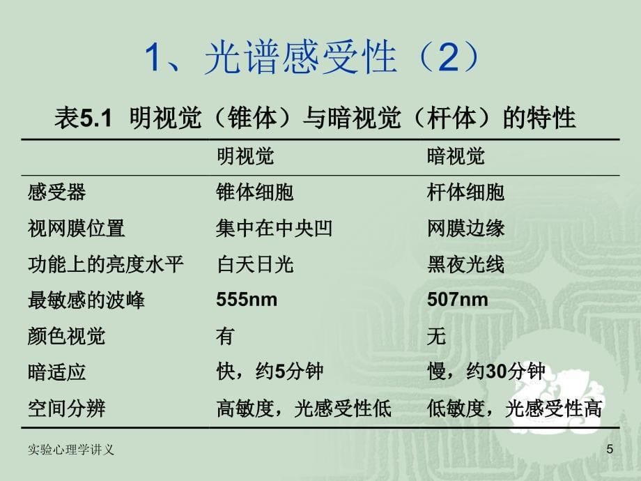 教学课件第五章视觉与听觉_第5页