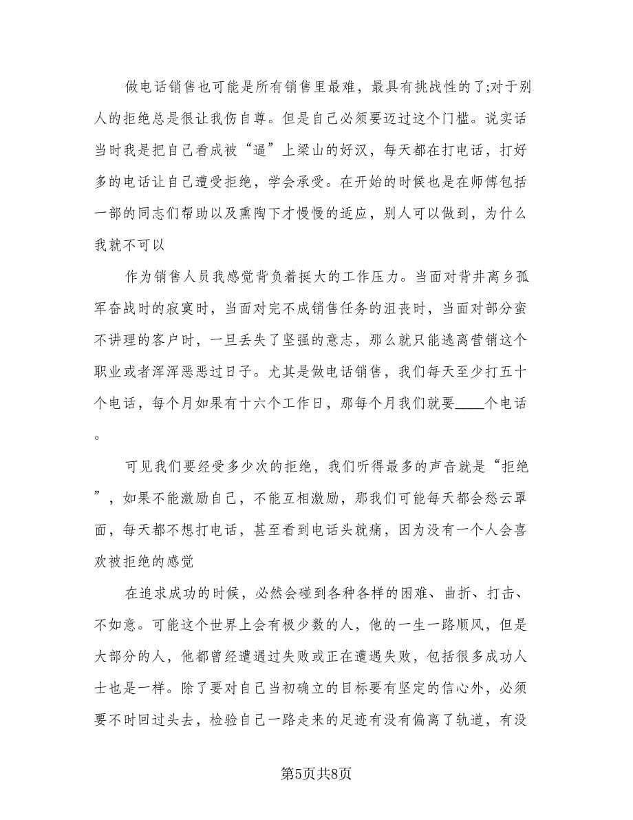 2023销售年终总结及明年计划参考范文（二篇）.doc_第5页