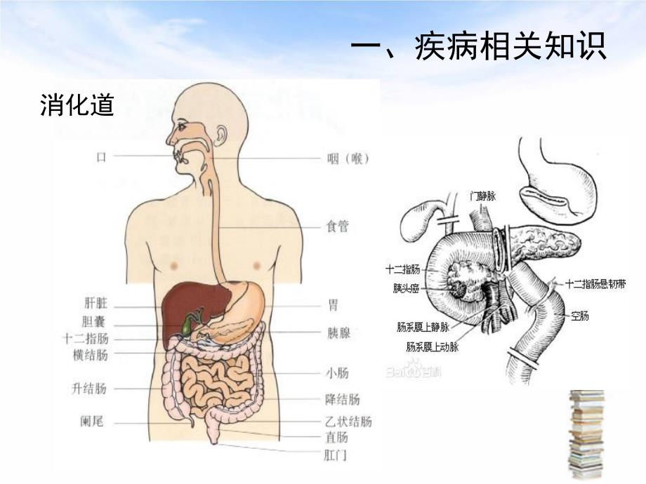 下消化道出血伴失血性休克护理查房ppt课件_第3页