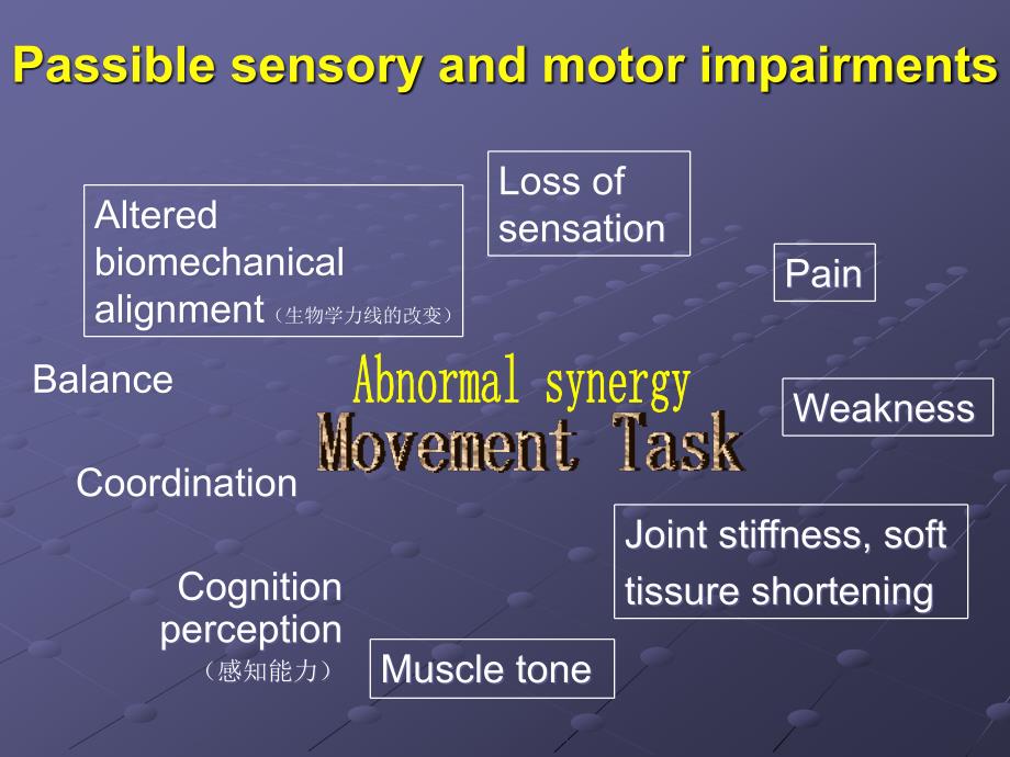感觉运动障碍的物理治疗ppt课件_第4页