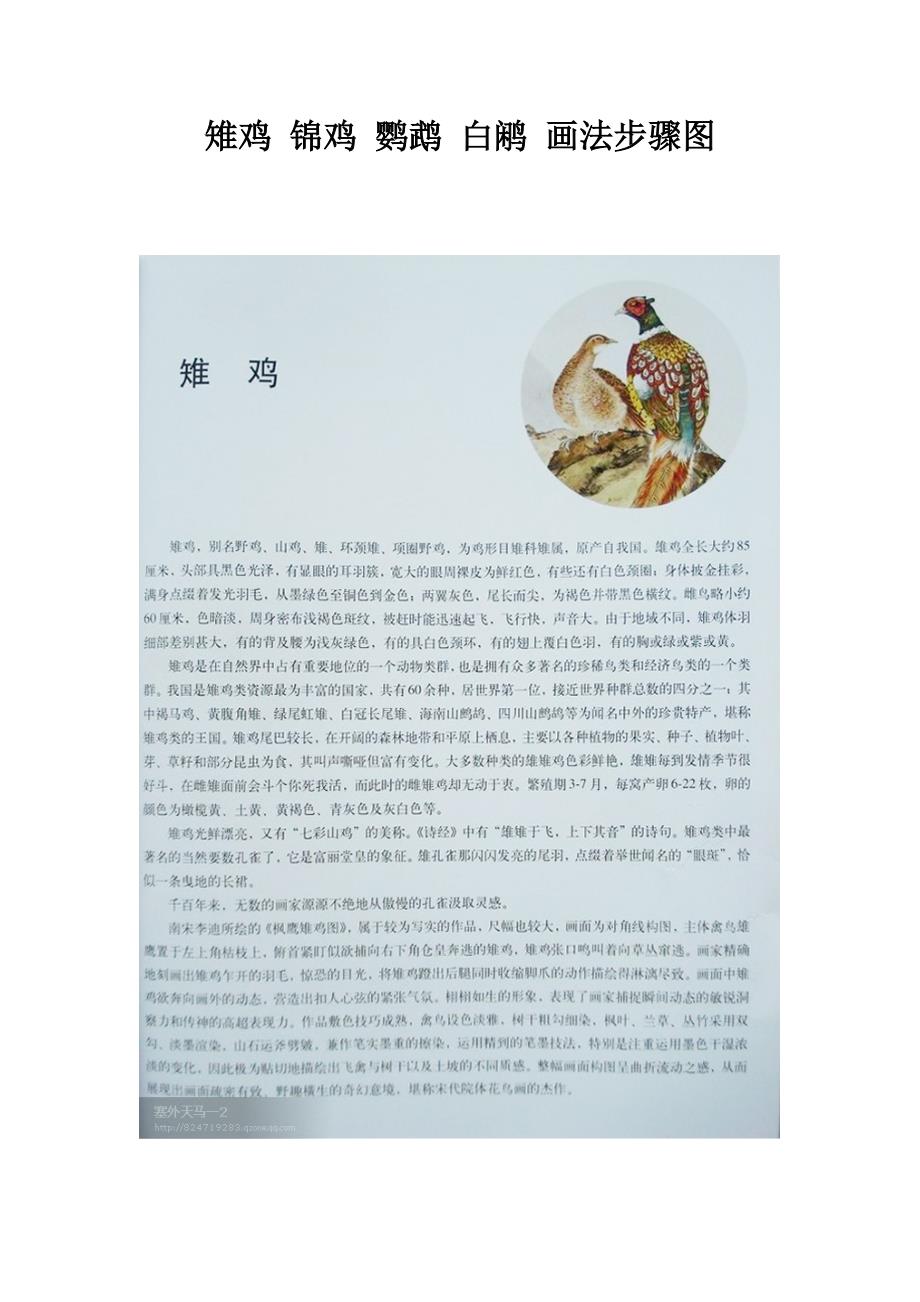 雉鸡锦鸡鹦鹉白鹇画法步骤图_第1页