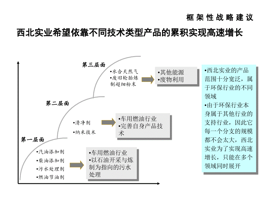 战略框架建议报告_第3页