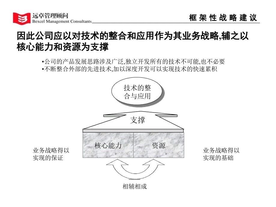 战略框架建议报告_第5页