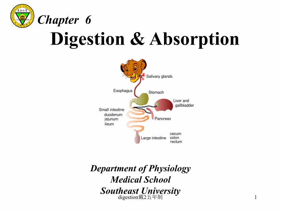 digestion戴2五年制课件_第1页