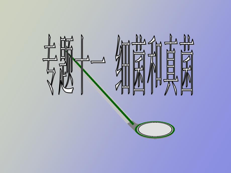 生物专题十一细菌和真菌_第1页