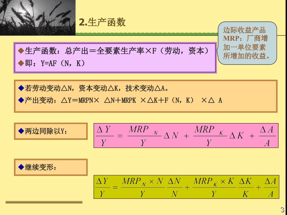 财大微观经济学课件第二十一章_第3页