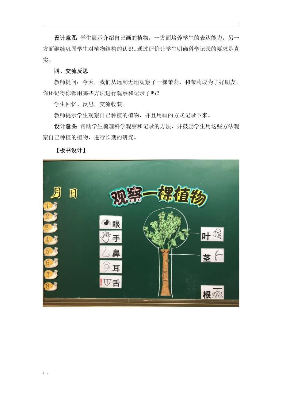 《观察一棵植物》教学设计_第5页