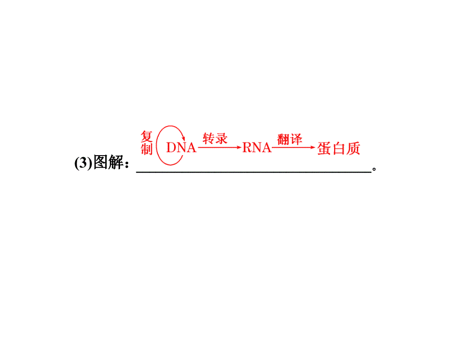 42基因对性状的控制_第4页