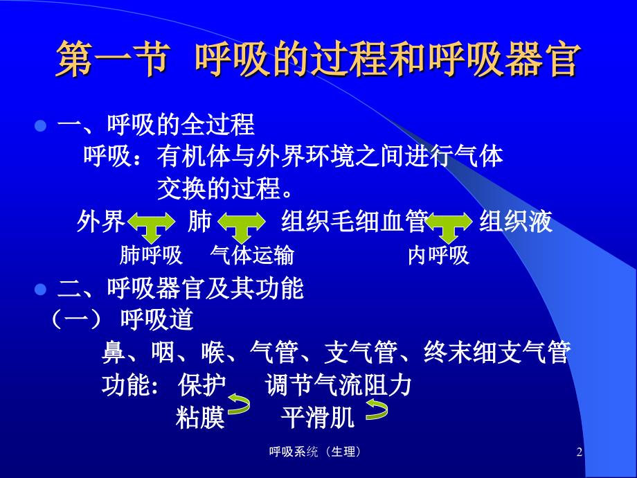 呼吸系统生理课件_第2页