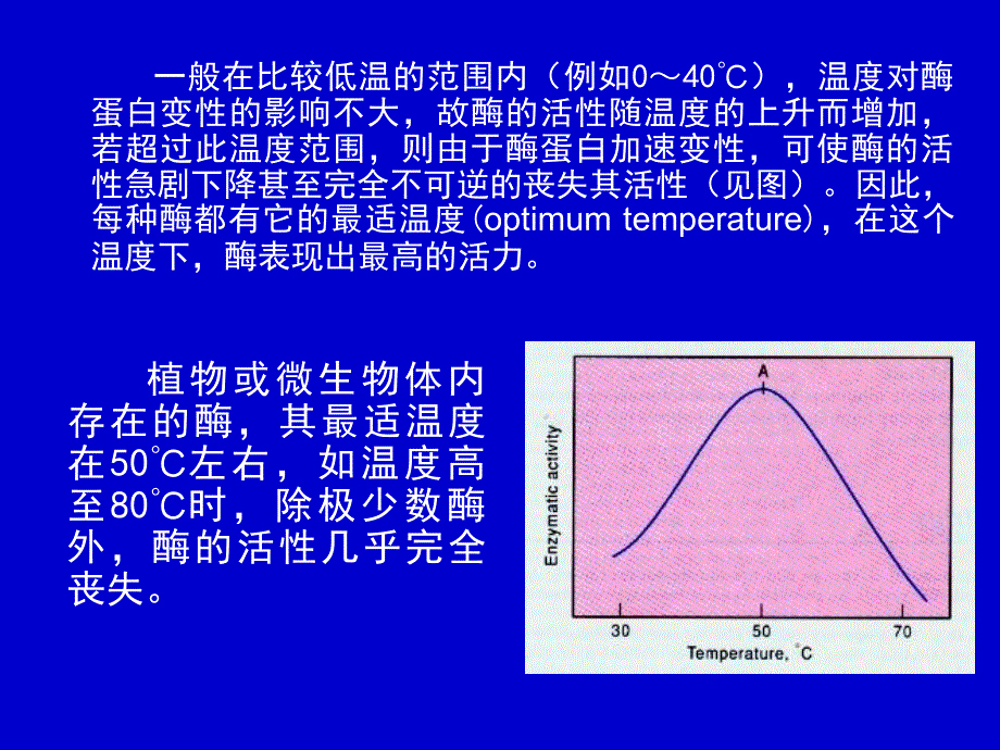 温度对酶活性的影响_第3页