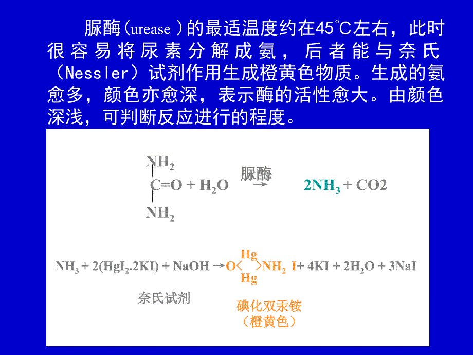 温度对酶活性的影响_第4页