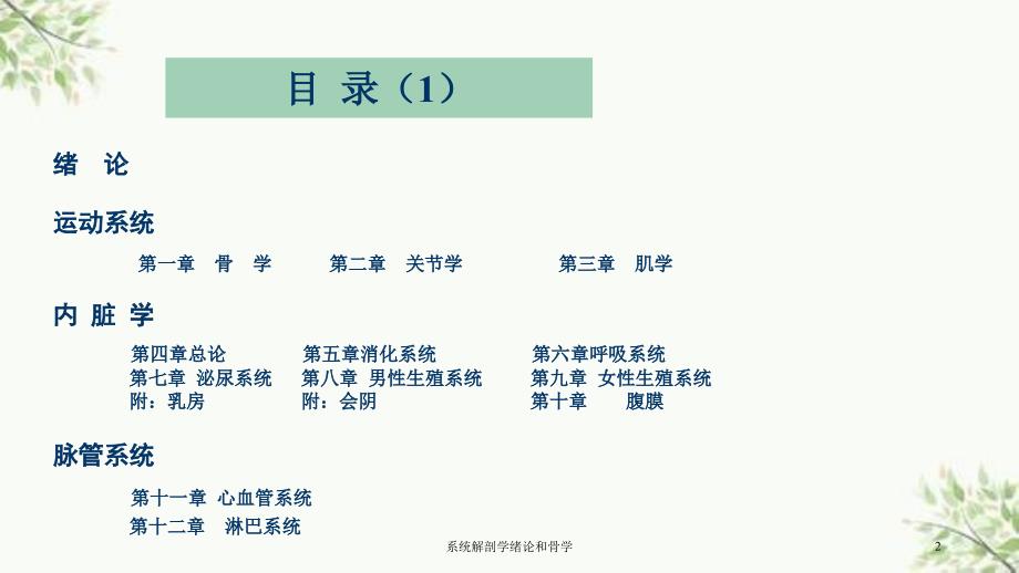 系统解剖学绪论和骨学课件_第2页