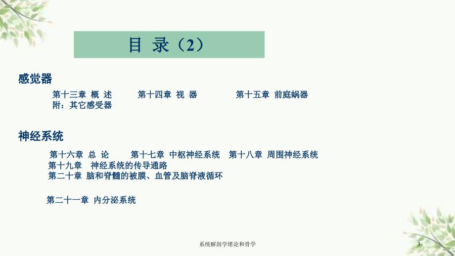 系统解剖学绪论和骨学课件_第3页