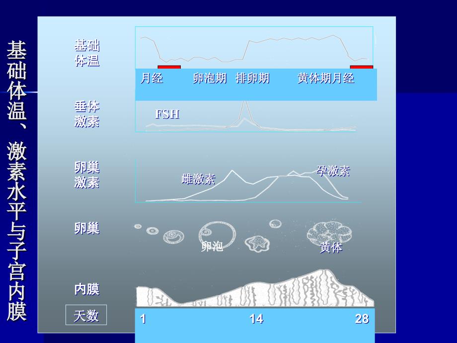 孕激素的临床应用合肥_第4页