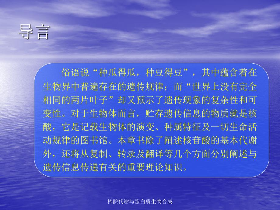 核酸代谢与蛋白质生物合成课件_第2页