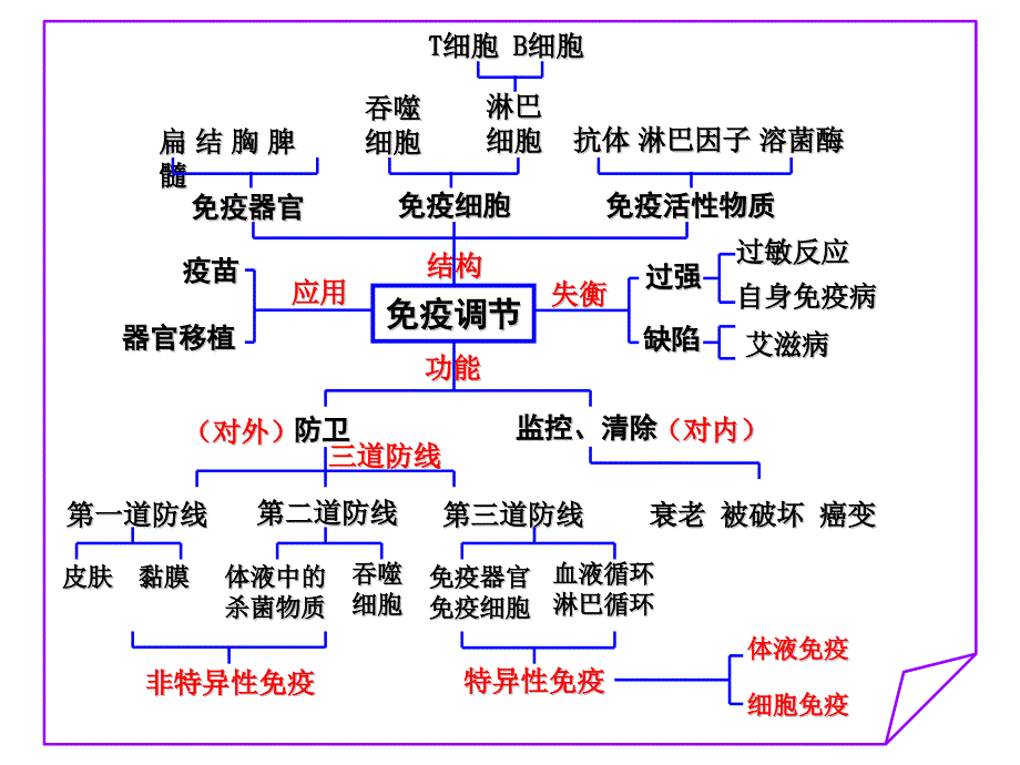 内环境稳态的调节思维导图.ppt_第3页