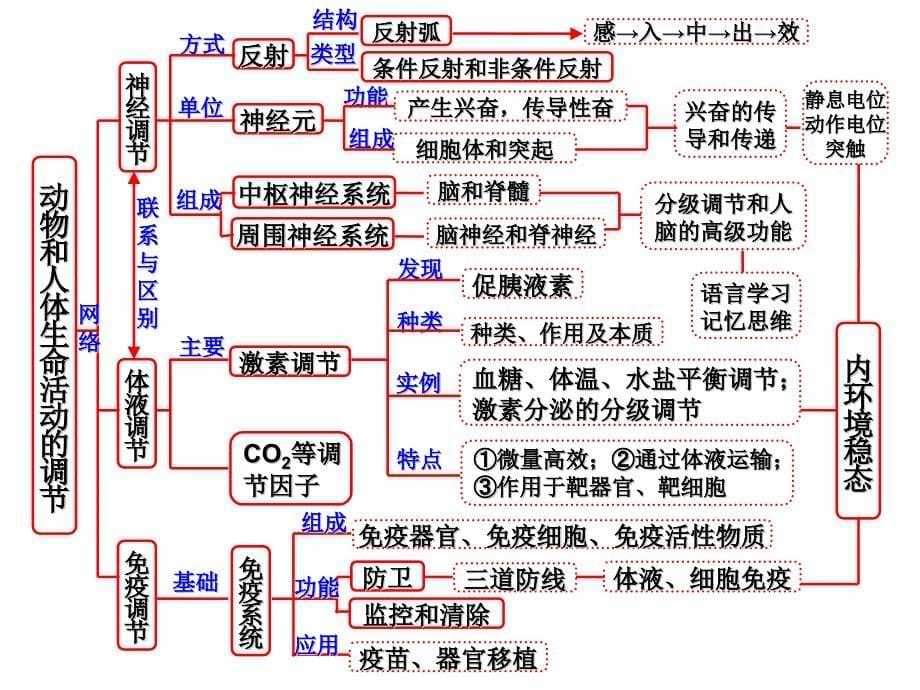 内环境稳态的调节思维导图.ppt_第5页