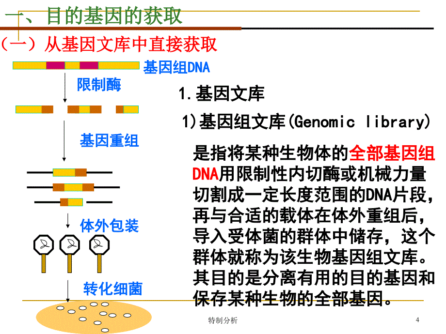 《基因工程的基本操作程序》课件(新人教选修3)（优课优讲）_第4页