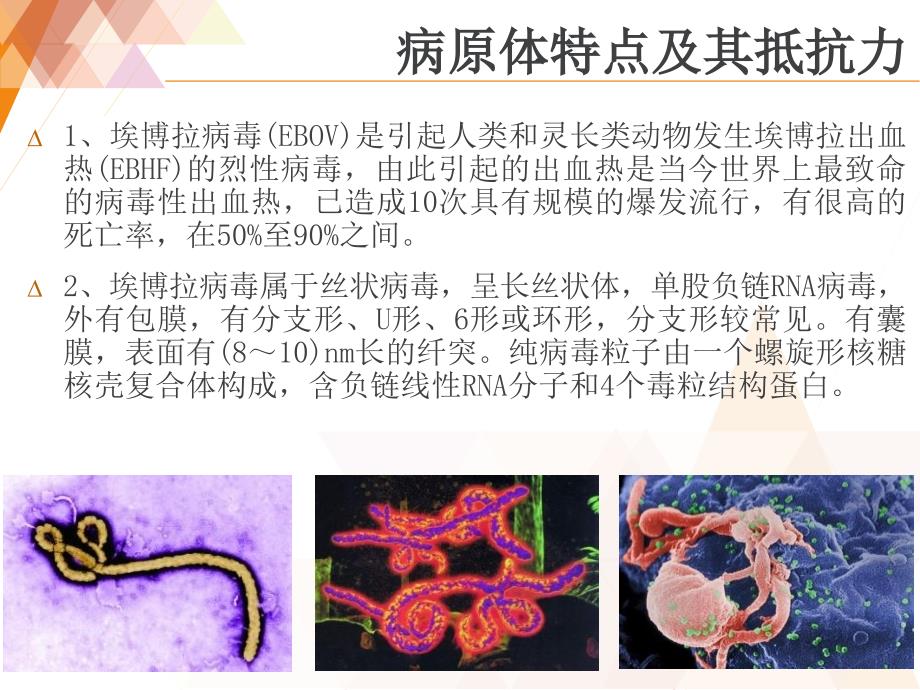 埃博拉预防与控制课件_第4页