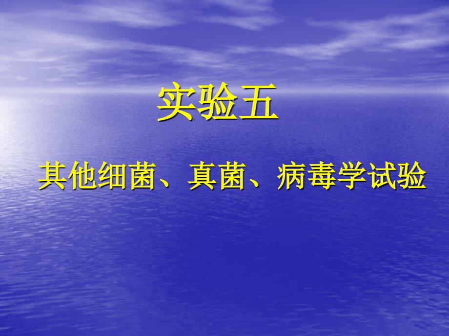 最新医学微生物学实验五幻灯片_第2页